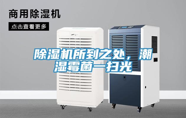 除濕機所到之處，潮濕霉菌一掃光