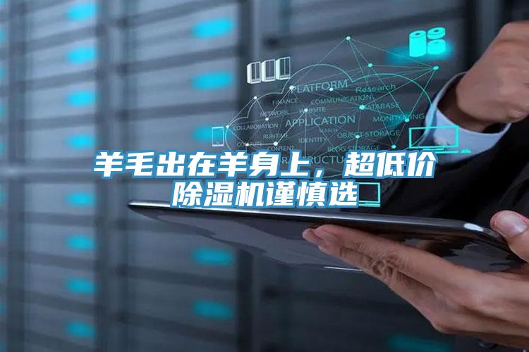 羊毛出在羊身上，超低價除濕機謹慎選