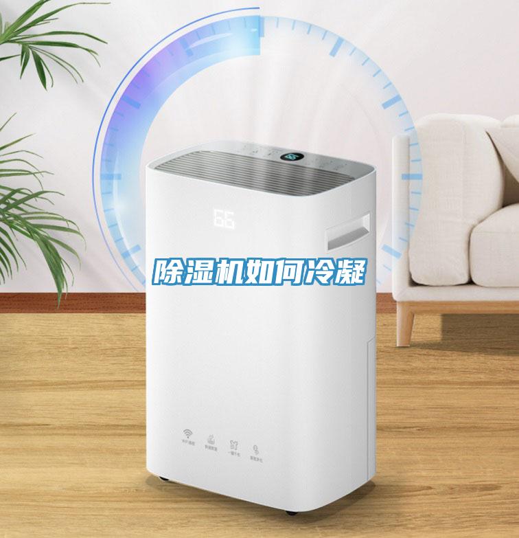 除濕機(jī)如何冷凝