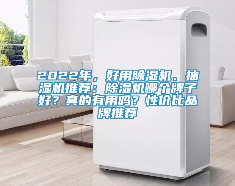 2022年，好用除濕機、抽濕機推薦：除濕機哪個牌子好？真的有用嗎？性價比品牌推薦