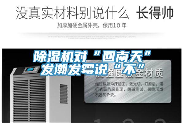 除濕機(jī)對“回南天”發(fā)潮發(fā)霉說“不”
