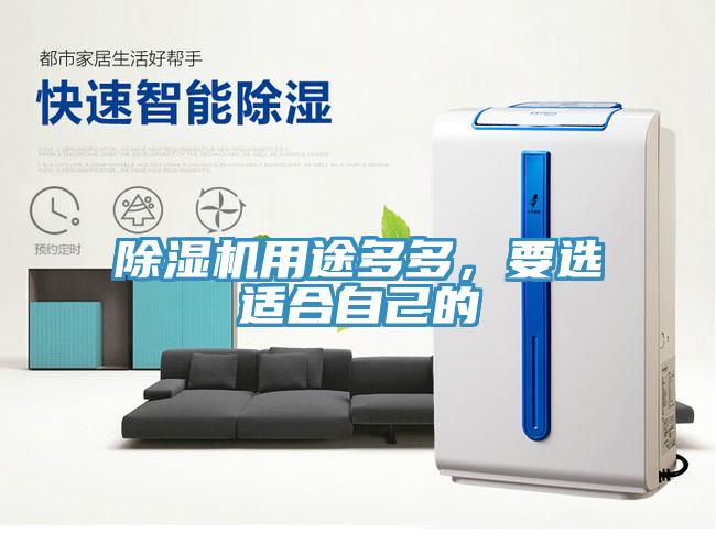 除濕機用途多多，要選適合自己的