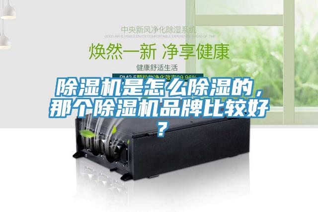 除濕機(jī)是怎么除濕的，那個(gè)除濕機(jī)品牌比較好？