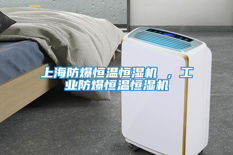 上海防爆恒溫恒濕機(jī) ，工業(yè)防爆恒溫恒濕機(jī)