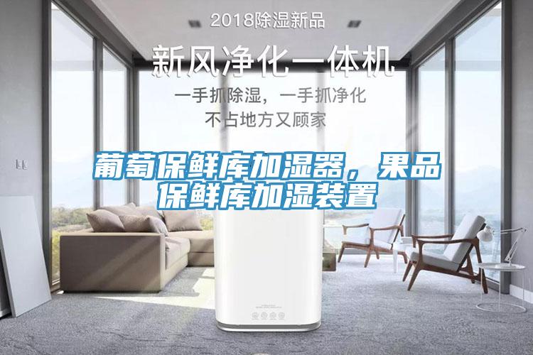 葡萄保鮮庫(kù)加濕器，果品保鮮庫(kù)加濕裝置