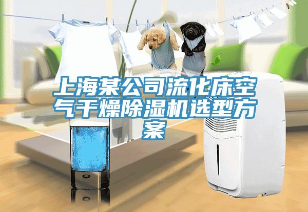 上海某公司流化床空氣干燥除濕機(jī)選型方案