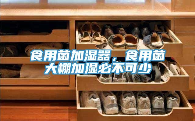 食用菌加濕器，食用菌大棚加濕必不可少