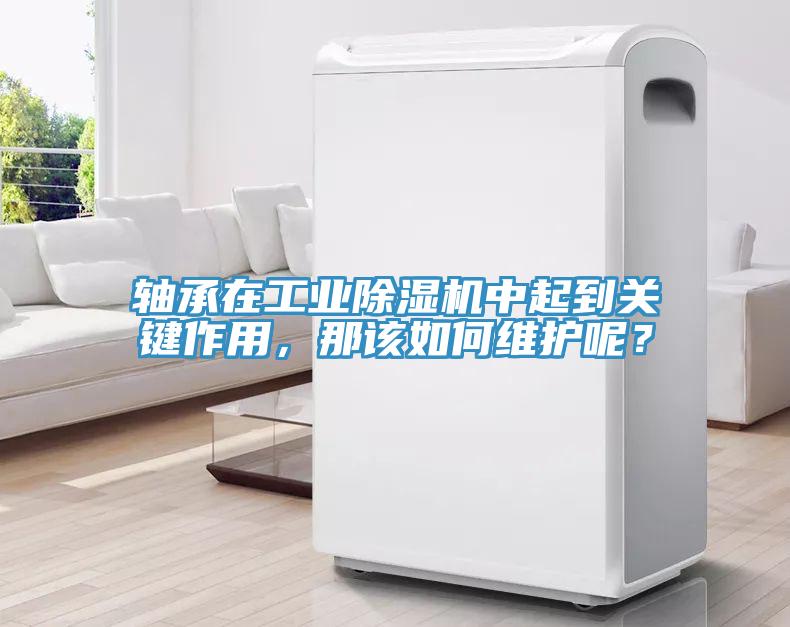 軸承在工業(yè)除濕機中起到關鍵作用，那該如何維護呢？