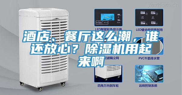 酒店、餐廳這么潮，誰(shuí)還放心？除濕機(jī)用起來(lái)啊