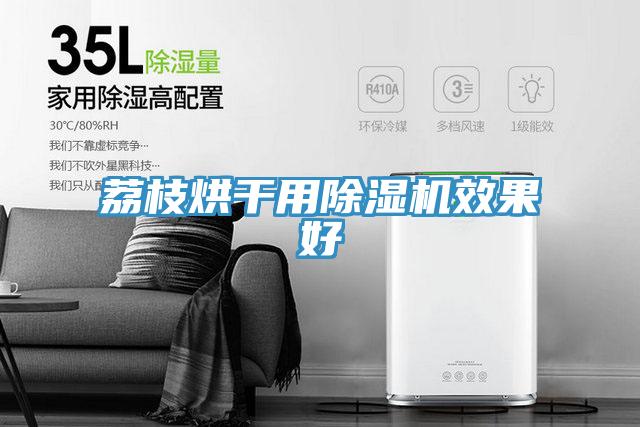 荔枝烘干用除濕機(jī)效果好