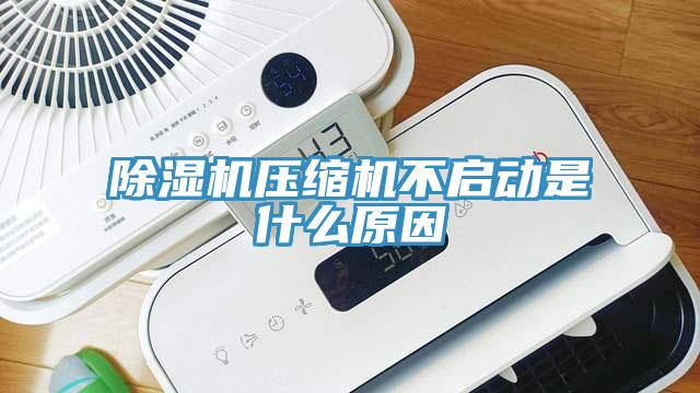 除濕機(jī)壓縮機(jī)不啟動(dòng)是什么原因