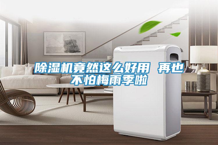除濕機(jī)竟然這么好用 再也不怕梅雨季啦
