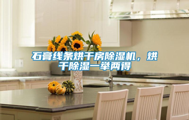 石膏線條烘干房除濕機(jī)，烘干除濕一舉兩得