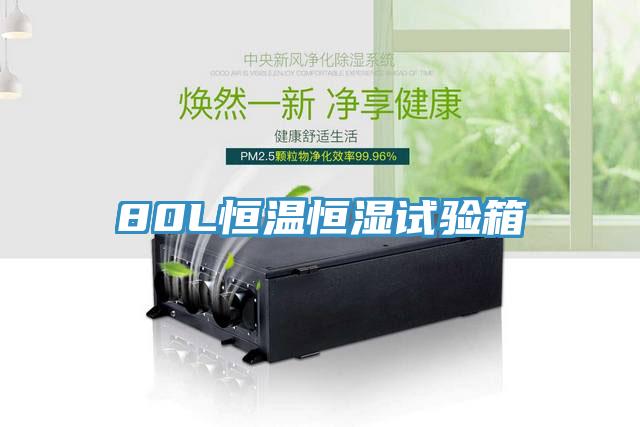 80L恒溫恒濕試驗箱