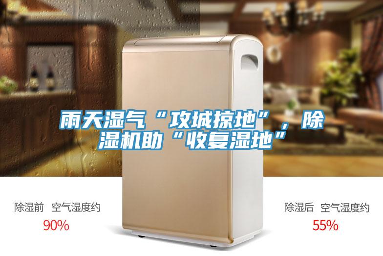 雨天濕氣“攻城掠地”，除濕機助“收復(fù)濕地”
