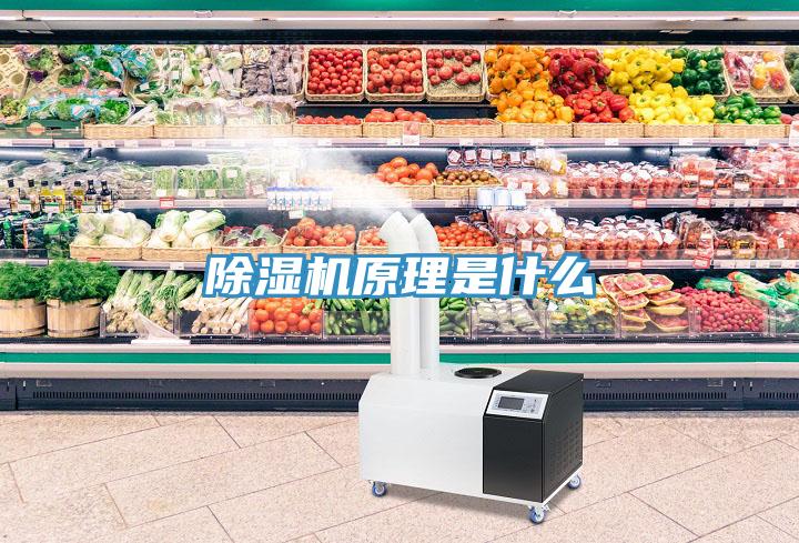 除濕機原理是什么