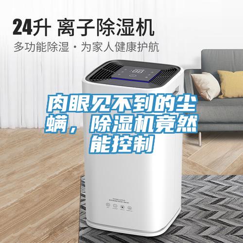 肉眼見不到的塵螨，除濕機竟然能控制