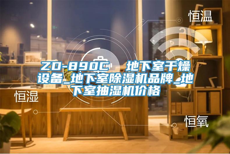 ZD-890C  地下室干燥設(shè)備_地下室除濕機(jī)品牌_地下室抽濕機(jī)價(jià)格