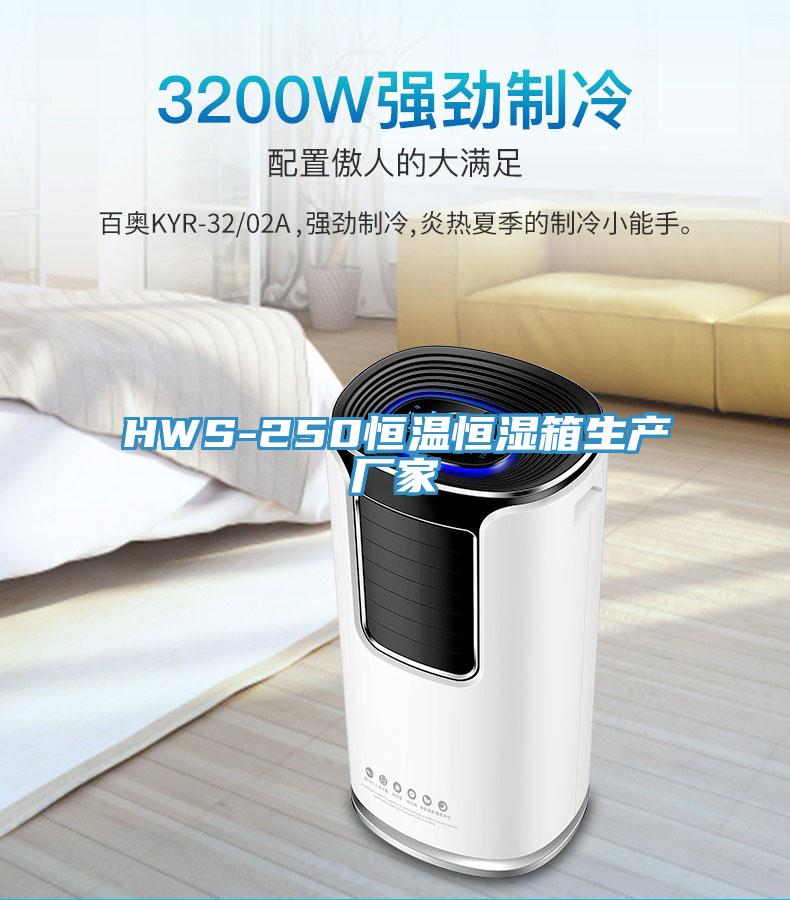 HWS-250恒溫恒濕箱生產(chǎn)廠家