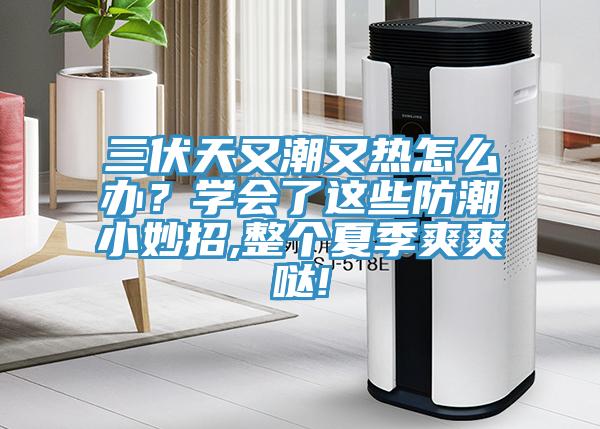 三伏天又潮又熱怎么辦？學(xué)會了這些防潮小妙招,整個夏季爽爽噠!