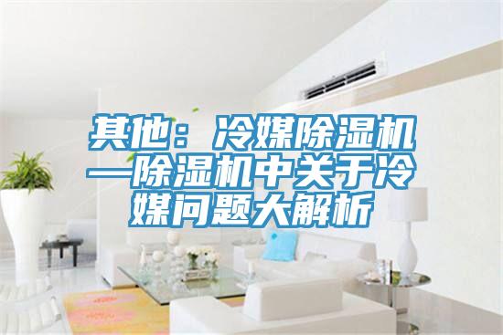 其他：冷媒除濕機—除濕機中關于冷媒問題大解析