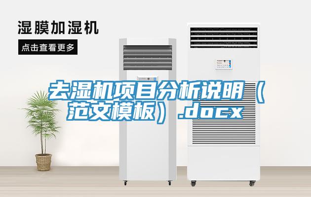 去濕機項目分析說明（范文模板）.docx