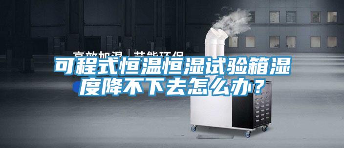 可程式恒溫恒濕試驗箱濕度降不下去怎么辦？