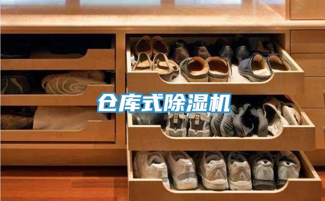 倉(cāng)庫(kù)式除濕機(jī)