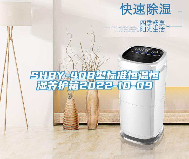 SHBY-40B型標(biāo)準(zhǔn)恒溫恒濕養(yǎng)護(hù)箱2022-10-09