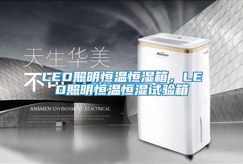 LED照明恒溫恒濕箱，LED照明恒溫恒濕試驗(yàn)箱