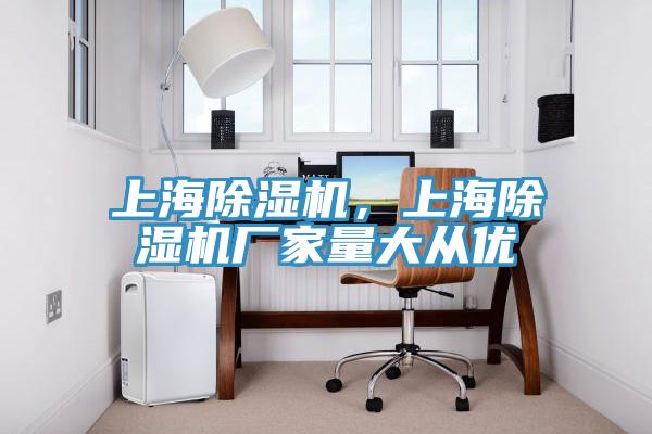上海除濕機(jī)，上海除濕機(jī)廠家量大從優(yōu)