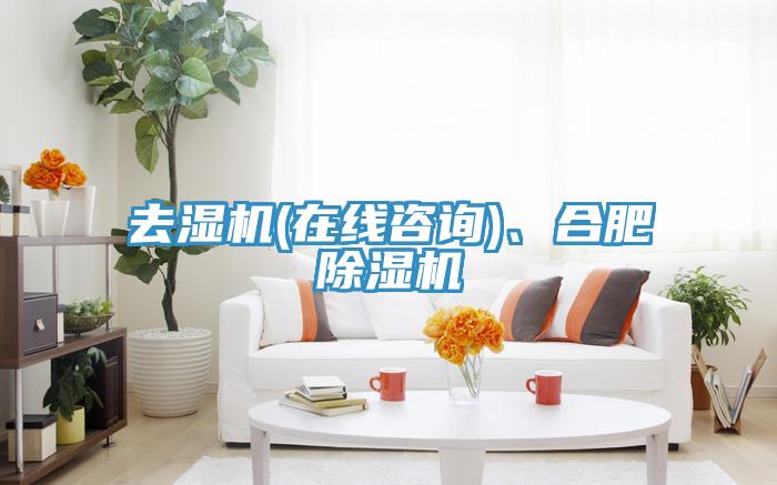 去濕機(jī)(在線咨詢)、合肥除濕機(jī)