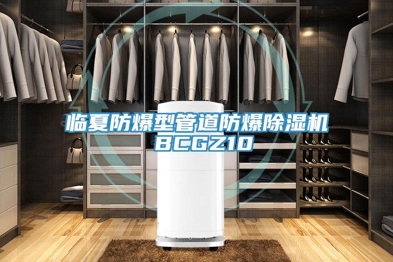 臨夏防爆型管道防爆除濕機(jī) BCGZ10