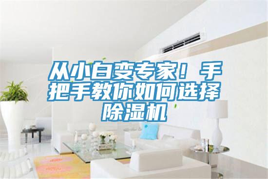 從小白變專家！手把手教你如何選擇除濕機