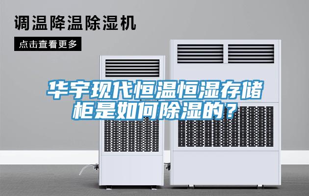 華宇現(xiàn)代恒溫恒濕存儲柜是如何除濕的？