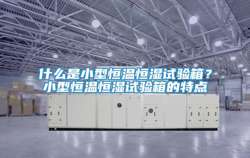 什么是小型恒溫恒濕試驗箱？小型恒溫恒濕試驗箱的特點