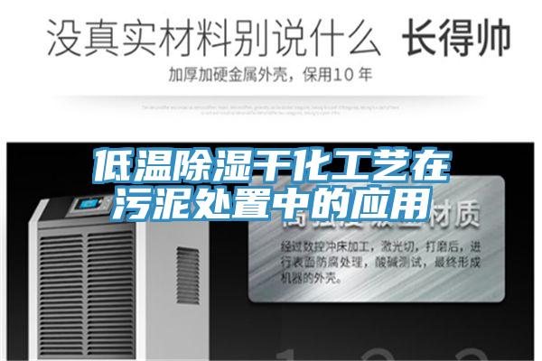 低溫除濕干化工藝在污泥處置中的應(yīng)用