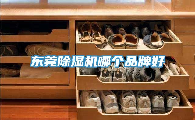東莞除濕機(jī)哪個品牌好
