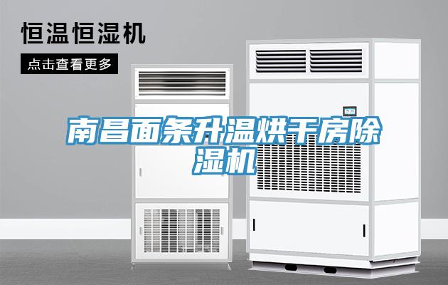 南昌面條升溫烘干房除濕機(jī)