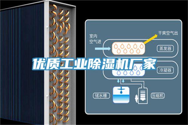 優(yōu)質(zhì)工業(yè)除濕機(jī)廠家