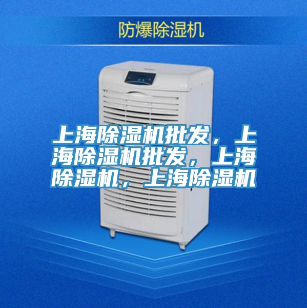 上海除濕機(jī)批發(fā)，上海除濕機(jī)批發(fā)，上海除濕機(jī)，上海除濕機(jī)