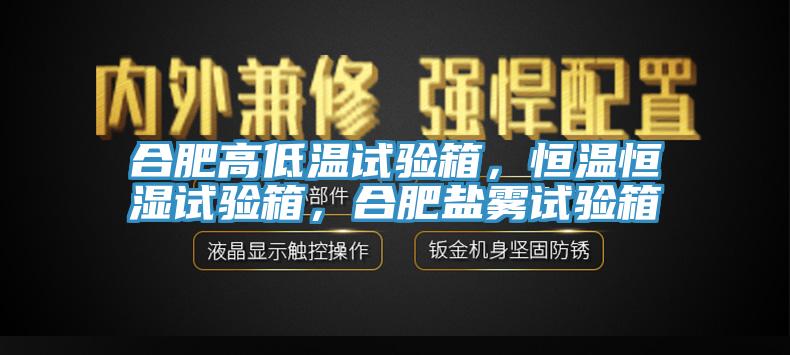 合肥高低溫試驗(yàn)箱，恒溫恒濕試驗(yàn)箱，合肥鹽霧試驗(yàn)箱