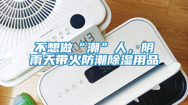 不想做“潮”人，陰雨天帶火防潮除濕用品