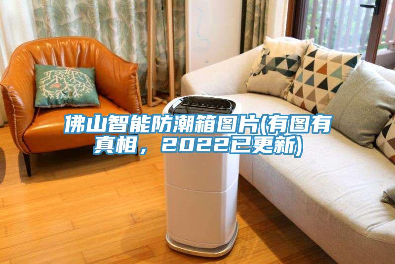 佛山智能防潮箱圖片(有圖有真相，2022已更新)