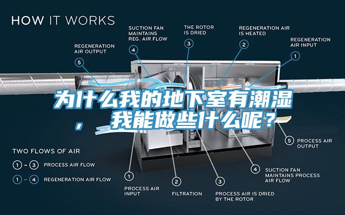 為什么我的地下室有潮濕， 我能做些什么呢？
