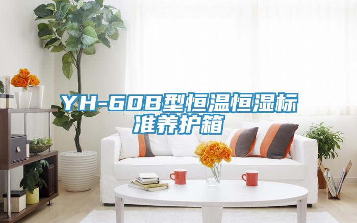 YH-60B型恒溫恒濕標(biāo)準(zhǔn)養(yǎng)護(hù)箱