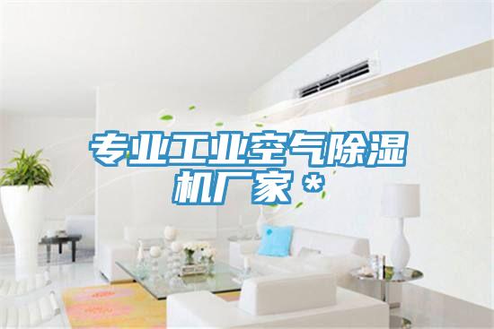 專業(yè)工業(yè)空氣除濕機(jī)廠家＊
