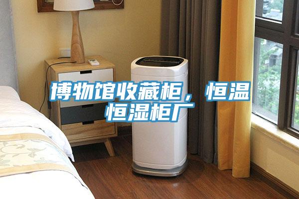 博物館收藏柜，恒溫恒濕柜廠