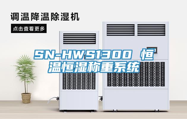 SN-HWS1300 恒溫恒濕稱重系統(tǒng)