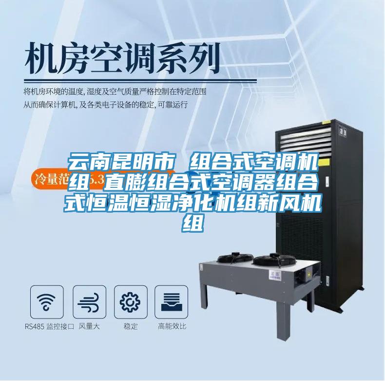 云南昆明市 組合式空調機組 直膨組合式空調器組合式恒溫恒濕凈化機組新風機組